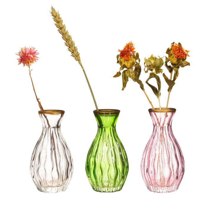Sass & Belle Dainty Vase with Gold Rim Set of 3