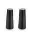 Aulica Black Hammered Salt and Pepper Set - La Belle Table - 538801