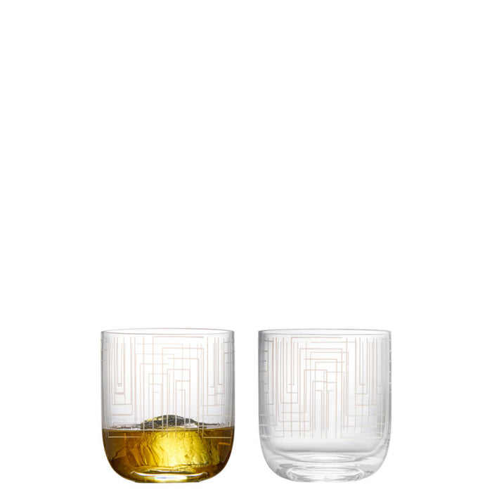ASD Maze DOF Tumblers, Set of 2